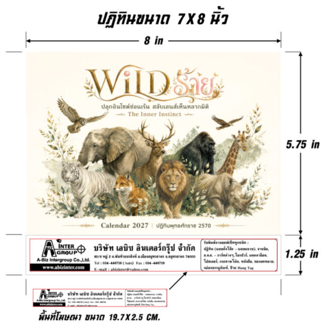 ไดอะแกรมแสดงขนาดปฏิทินชุด WILD ร้าย 7x8 นิ้ว และขนาดพื้นที่โฆษณาฐานสกรีนข้อมูลบริษัท 19.7x2.5 เซนติเมตร โรงพิมพ์ Abizinter