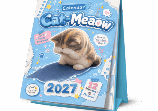 ภาพพรีวิวเล่มจริงปฏิทินตั้งโต๊ะ 2570 ชุด Cat Meaow ลายแมวน่ารักทาสแมว ไซส์ 8x7 นิ้ว ฐานจั่วปังสีฟ้าครามเข้าเล่มห่วงกระดูกงูขาว โรงพิมพ์ Abizinter